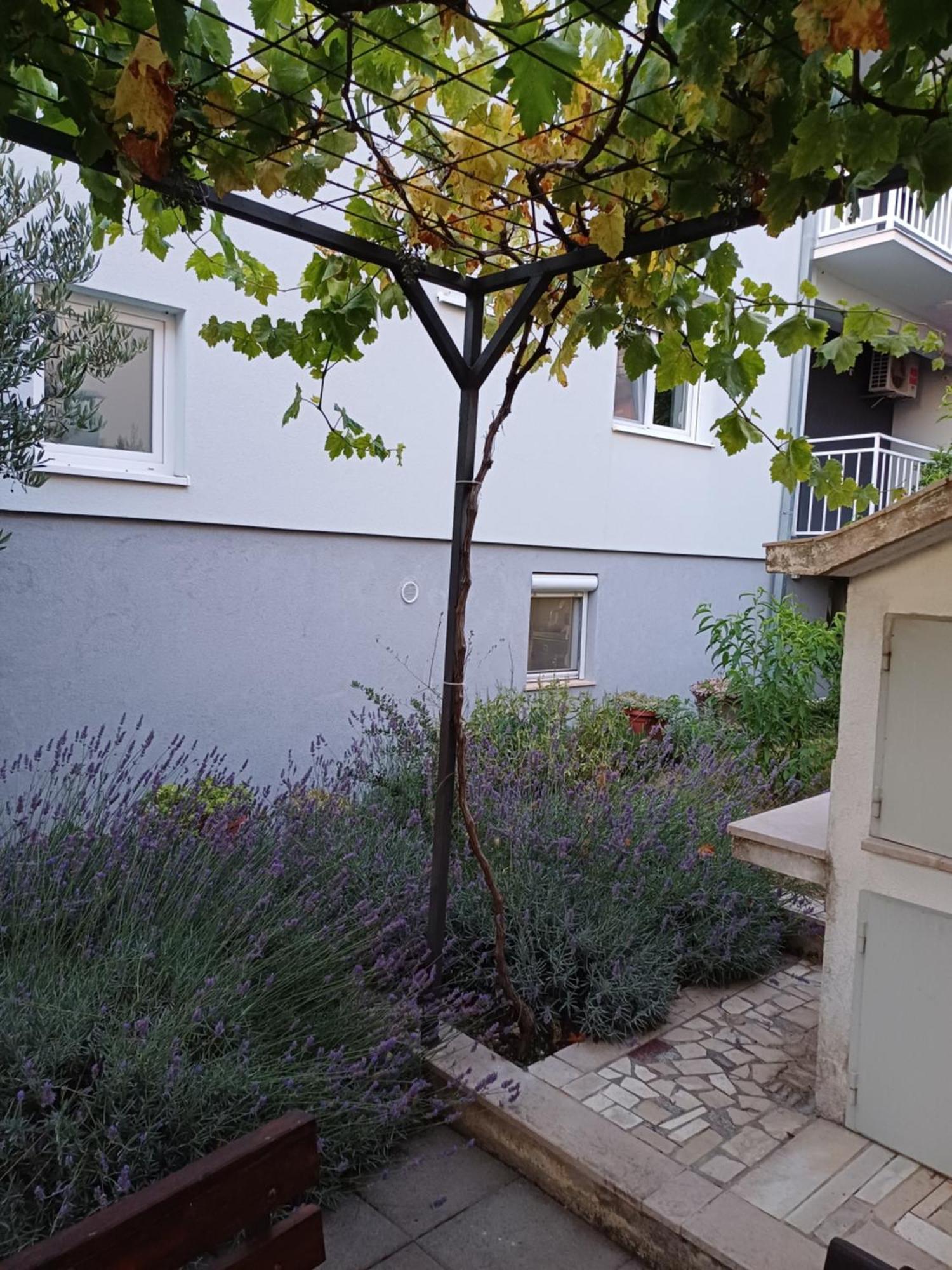 Apartment Sano Podstrana Oda fotoğraf