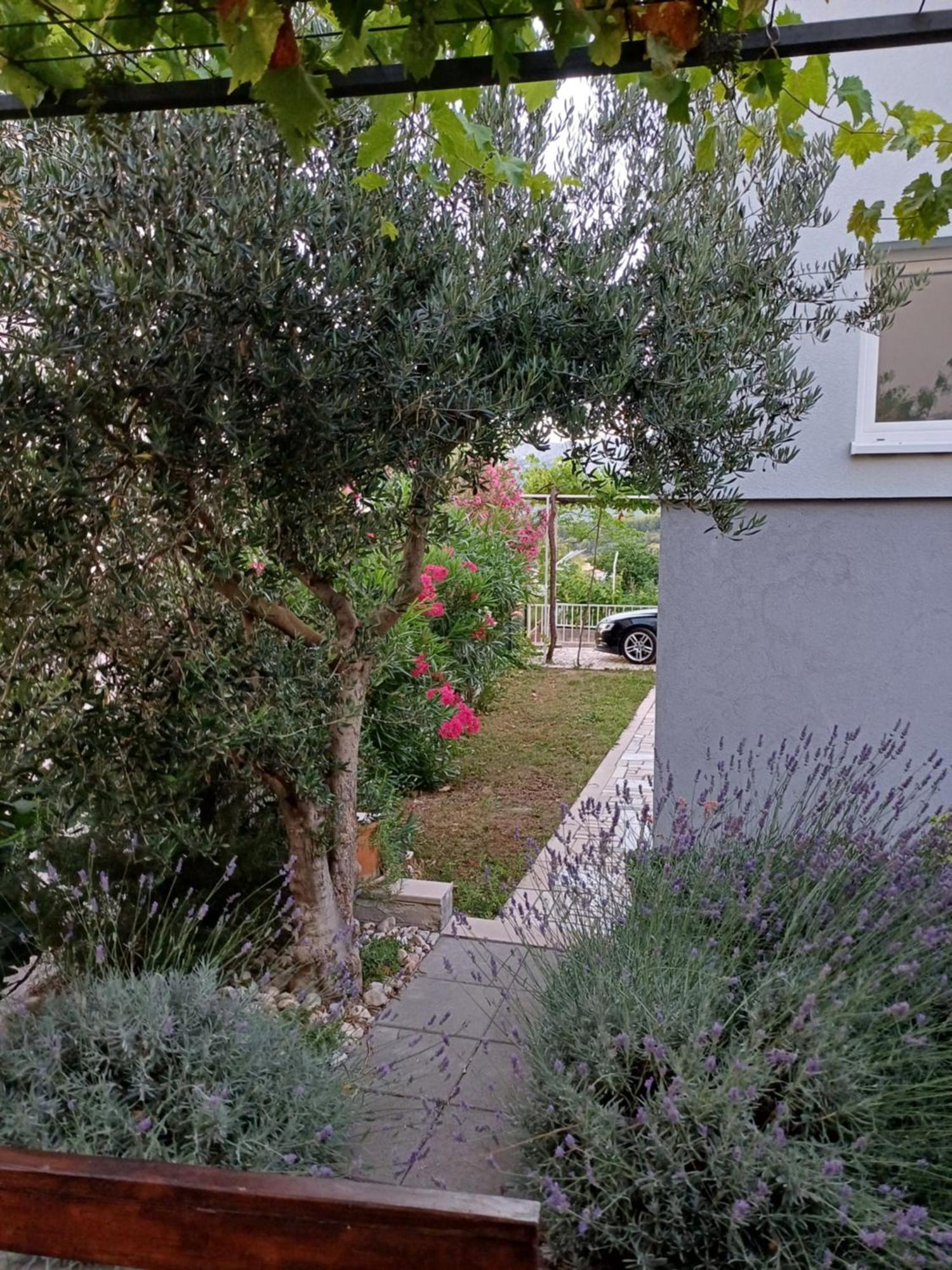 Apartment Sano Podstrana Oda fotoğraf